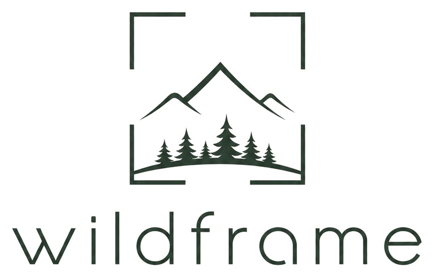 Wild Frame Online