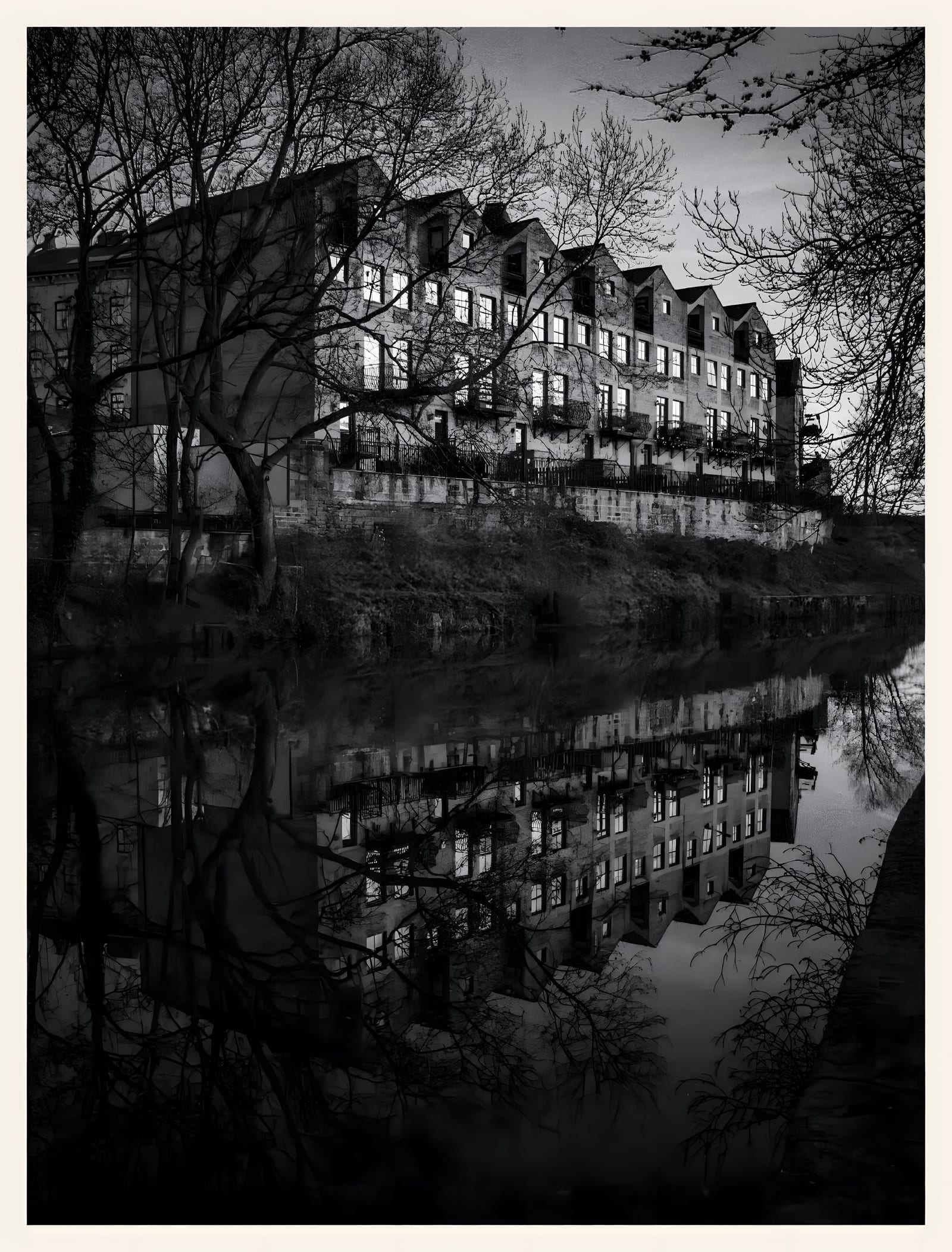 Riverside Reflection