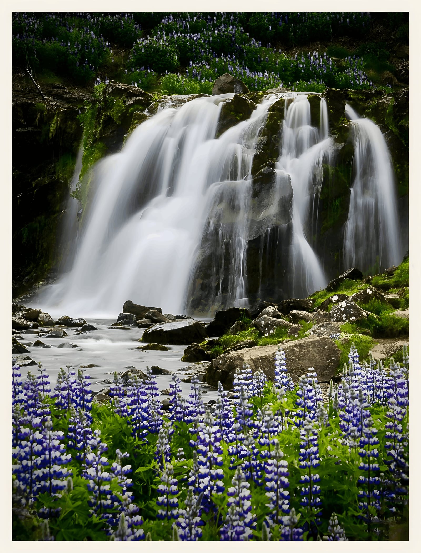Waterfall Through Lupines